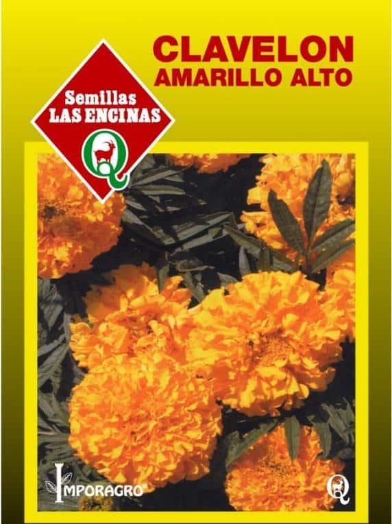 Semillas de Clavelón Amarillo Alto