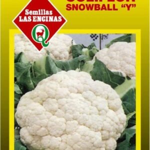 Semillas de Coliflor