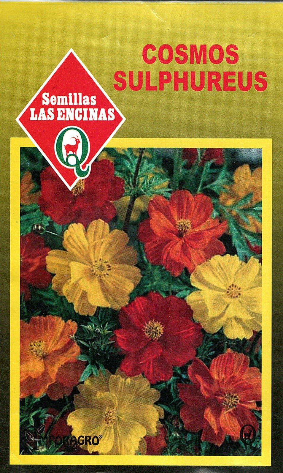 Semillas de Cosmos Sulphureus