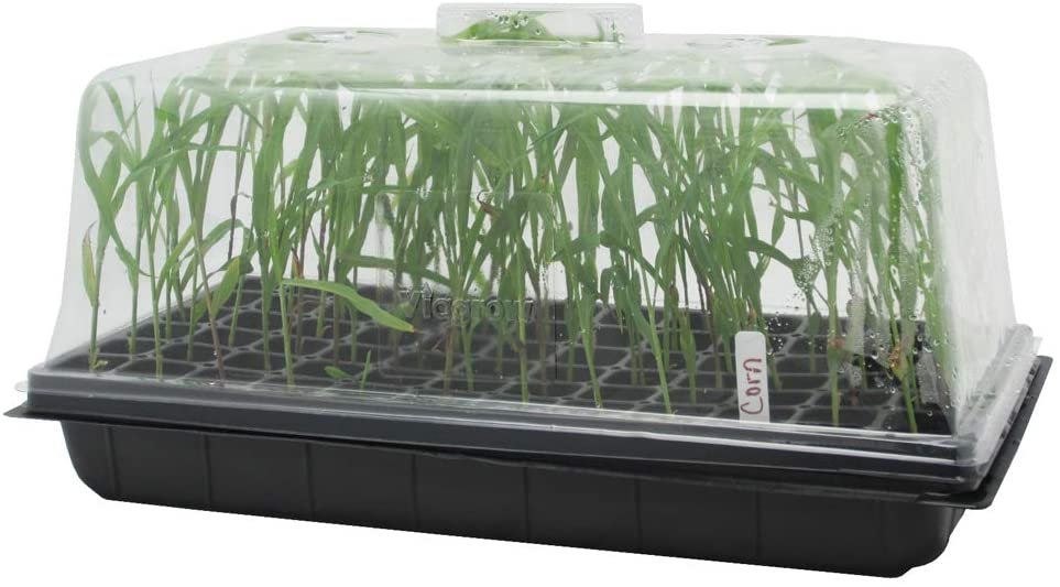 Cubierta Alta para Almaciguera Plástica Transparente con Ventilación - Imagen 7
