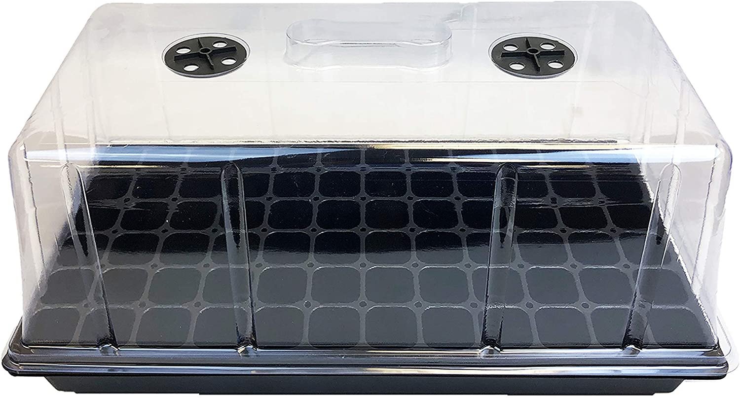 Cubierta Alta para Almaciguera Plástica Transparente con Ventilación - Imagen 2
