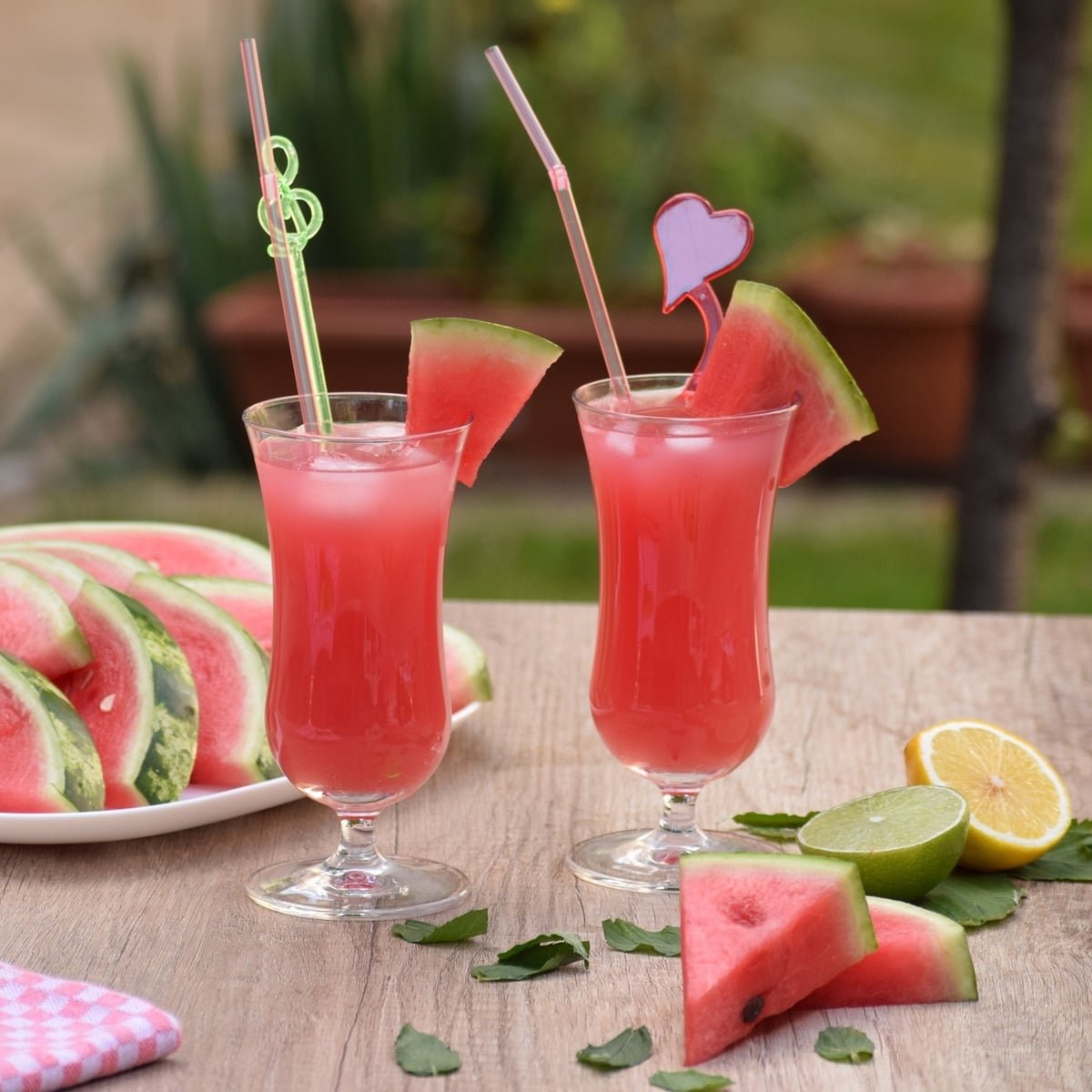 Semillas De Sandía Dulce Crimson - Imagen 6