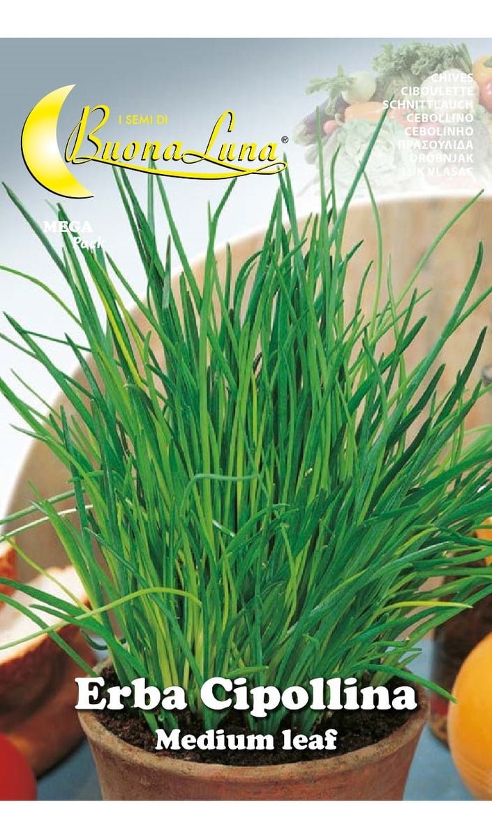Semillas De Ciboulette