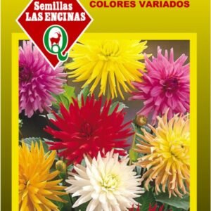 Semillas de Dalia Cactus