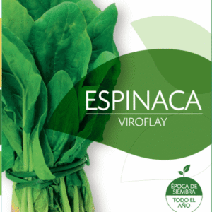 Semillas de Espinaca