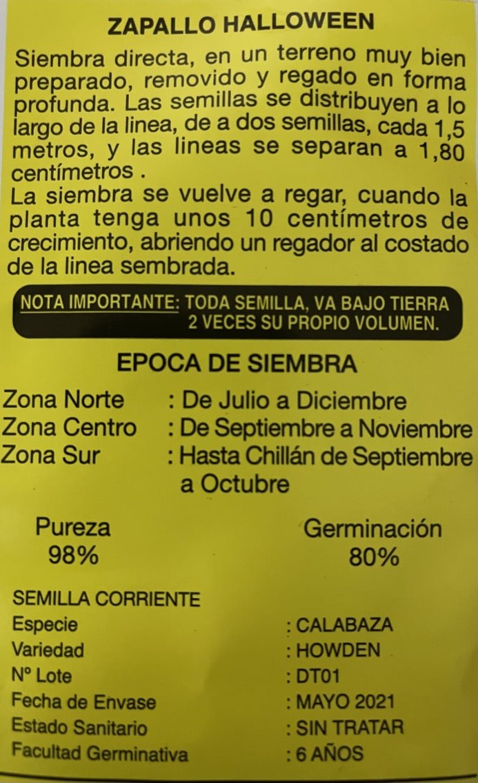 Semillas de Zapallo Halloween - Imagen 2