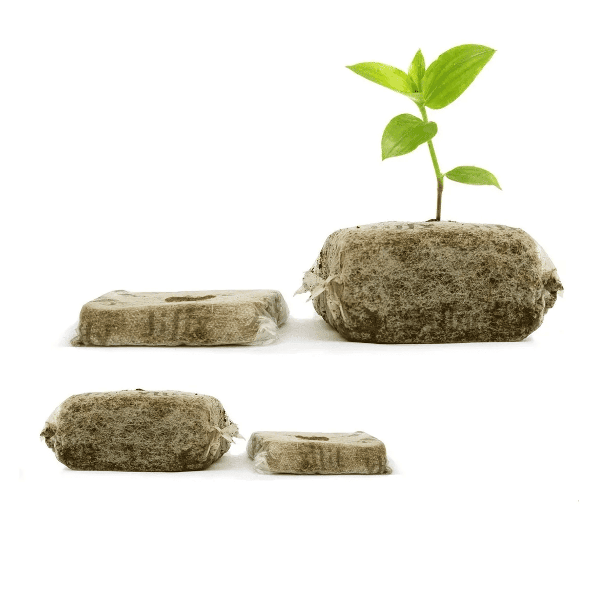 Germinador Grow Block Fibra De Coco 8x8 Jiffy - Imagen 2