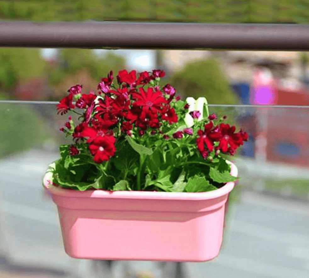 Jardinera de Balcón Rosada - Imagen 6