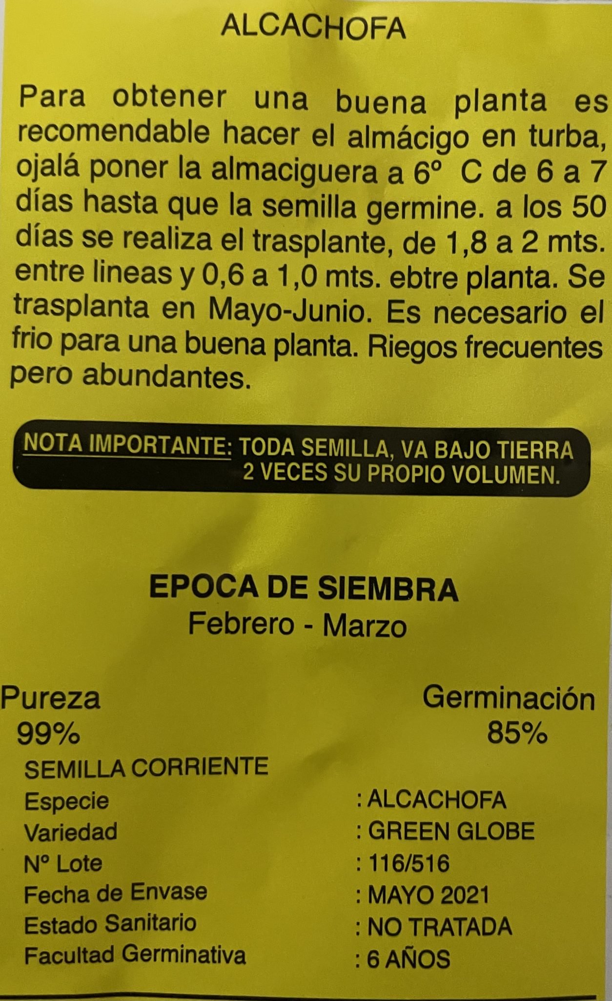 Semillas de Alcachofa - Imagen 2