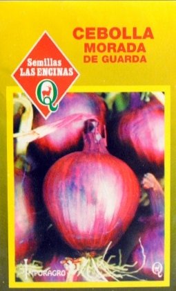 Semillas de Cebolla Morada De Guarda