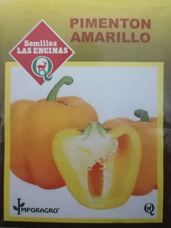 Semillas de Pimentón Amarillo - Imagen 3