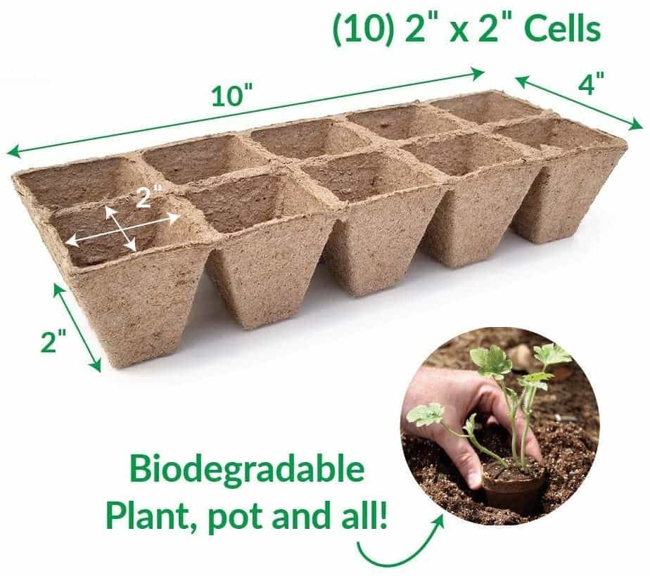 Bandeja Almaciguera Biodegradable 10 Cavidades - Imagen 5