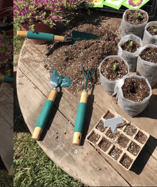 Kit de Herramientas de Jardín 3 Piezas Verdes - Imagen 6