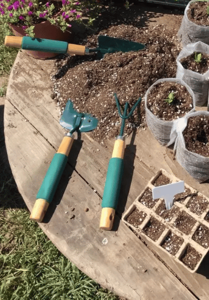 Kit de Herramientas de Jardín 3 Piezas Verdes - Imagen 2