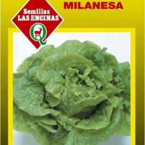 Semillas de Lechuga Milanesa