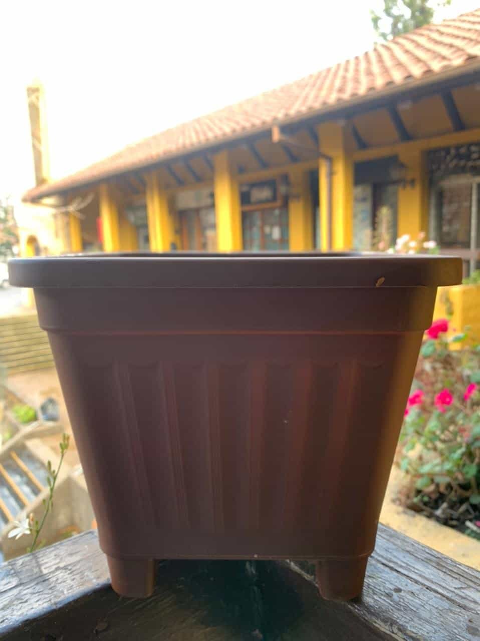 Macetero Cuadrado Café 10 Cm - Imagen 2
