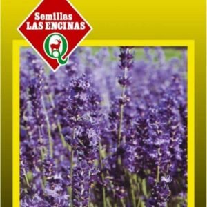 Semillas de Lavanda