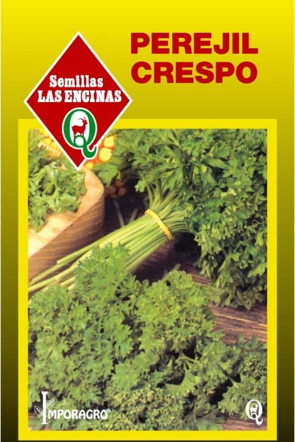Semillas de Perejil Crespo - Imagen 2