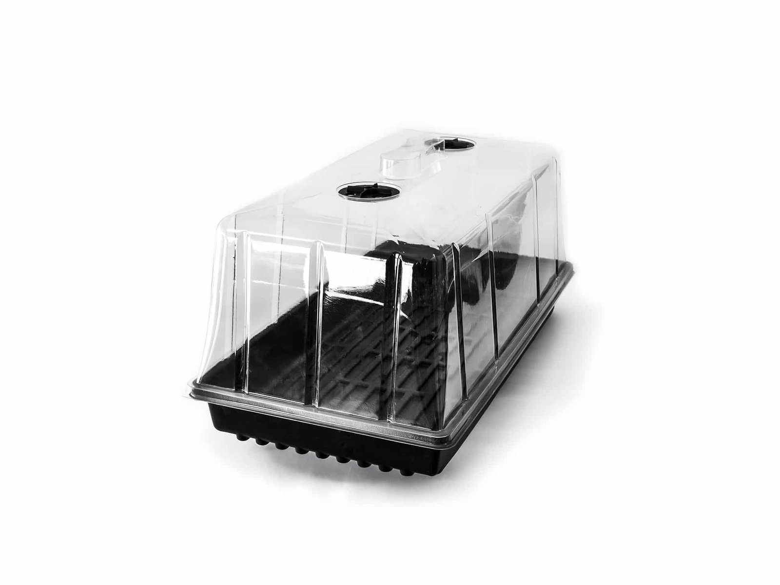 Cubierta Alta para Almaciguera Plástica Transparente con Ventilación