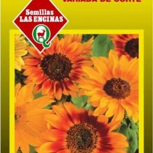 Semillas de Girasol Maravilla de Corte