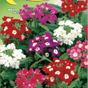 Semillas De Verbena Grandiflora Mix