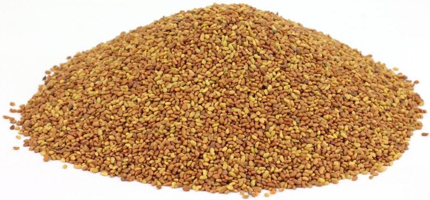 Semillas de Alfalfa California 55 Sin Desinfectar 1 Kilo - Imagen 2