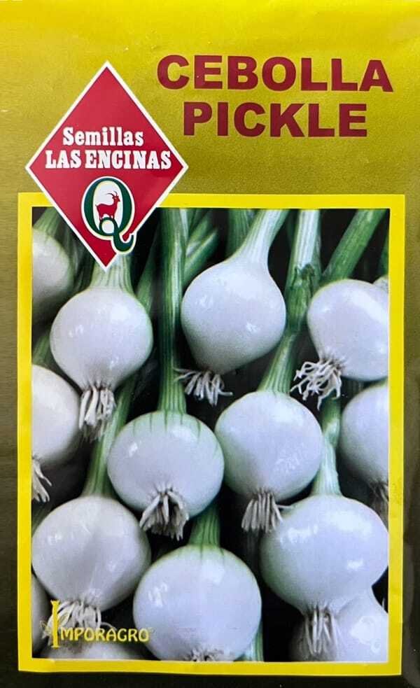 Semillas de Cebolla Pickle