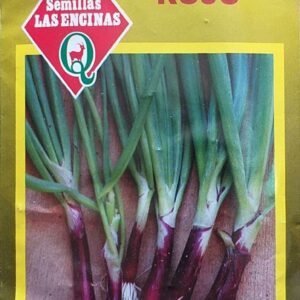 Semillas de Cebollín Rojo