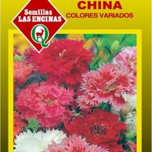 Semillas de Clavelina China Colores Variados