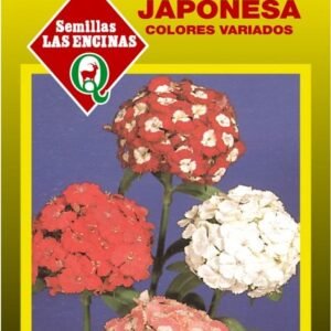 Semillas de Clavelina Japonesa