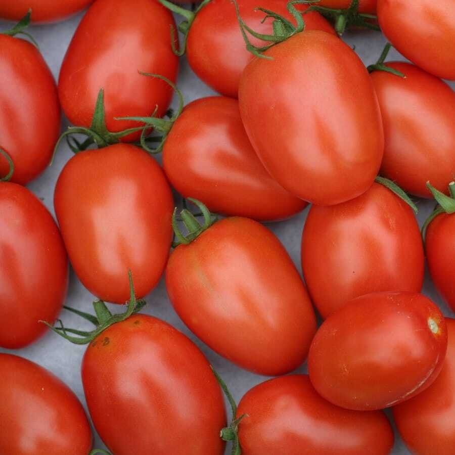 Semillas de Tomate Pera - Imagen 3