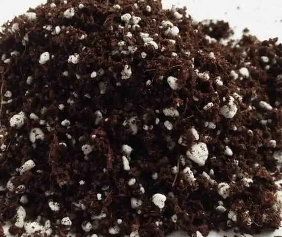 Sustrato Preparado para Germinación de Almácigos 10 Lts - Imagen 2