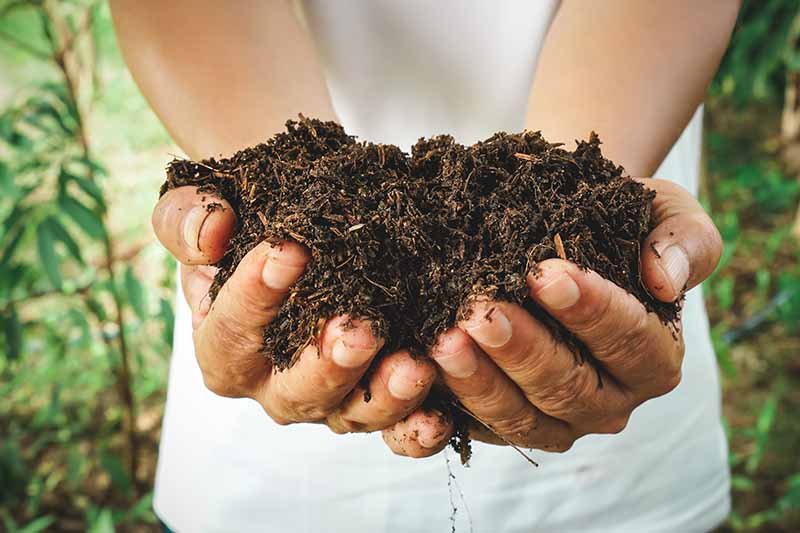 Tierra Compostada 40 Lts - Imagen 3