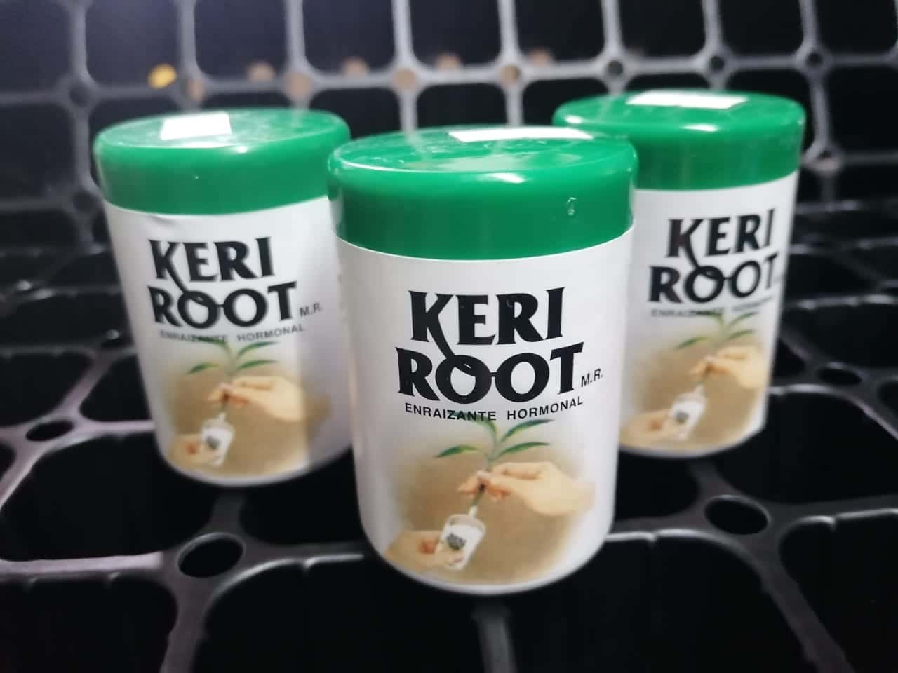 Enraizante Hormonal Keri Root 75gr - Imagen 2
