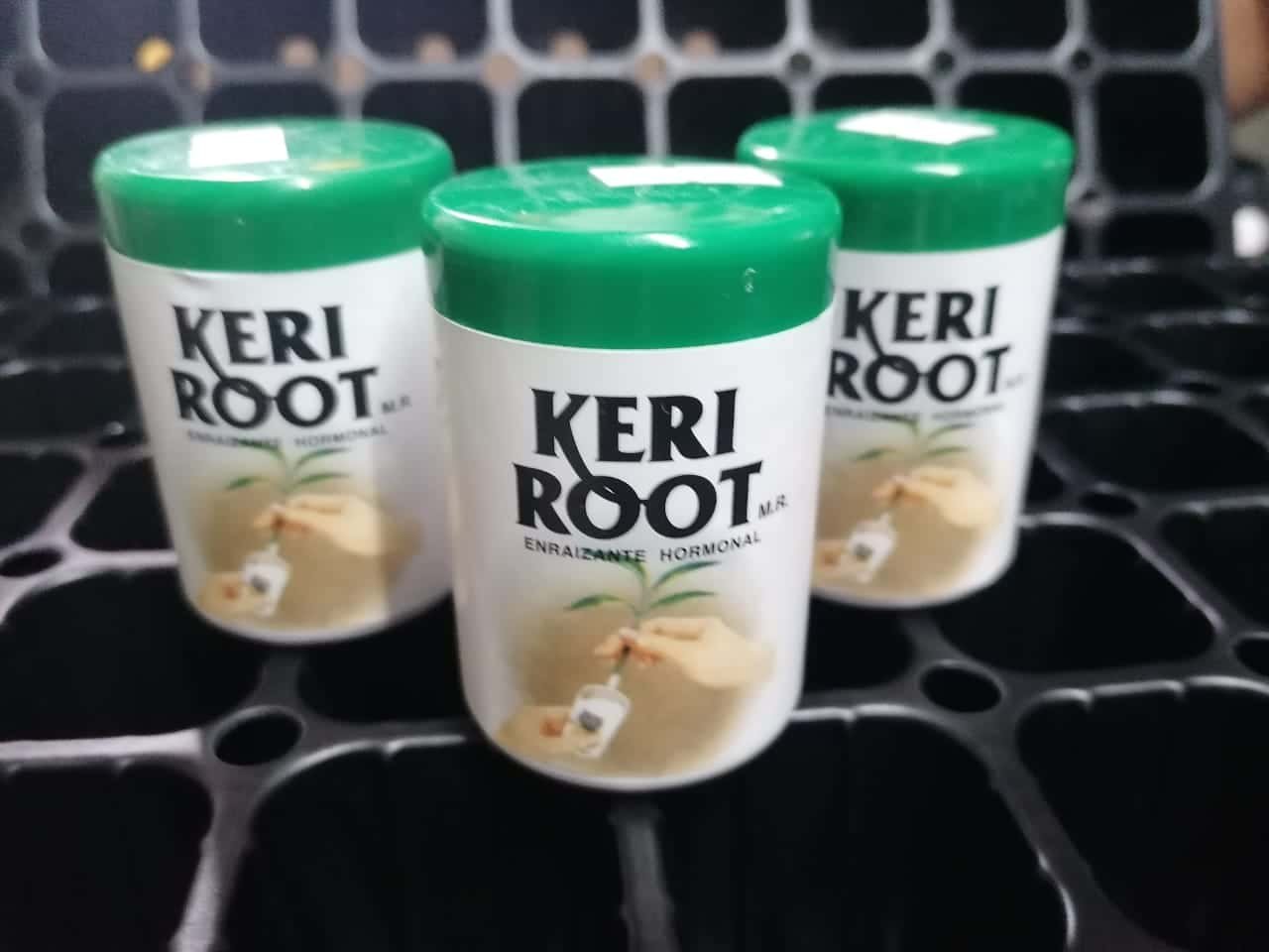 Enraizante Hormonal Keri Root 75gr - Imagen 3