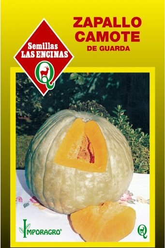 Semillas de Zapallo Camote de Guarda - Imagen 2