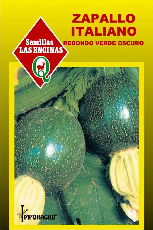 Semillas de Zapallo Italiano Redondo Bola 8 - Imagen 2