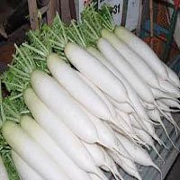Nabo Blanco Largo, Tipo Japones 500 Grs