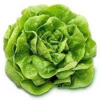 Lechuga Reina De Mayo 500 Grs