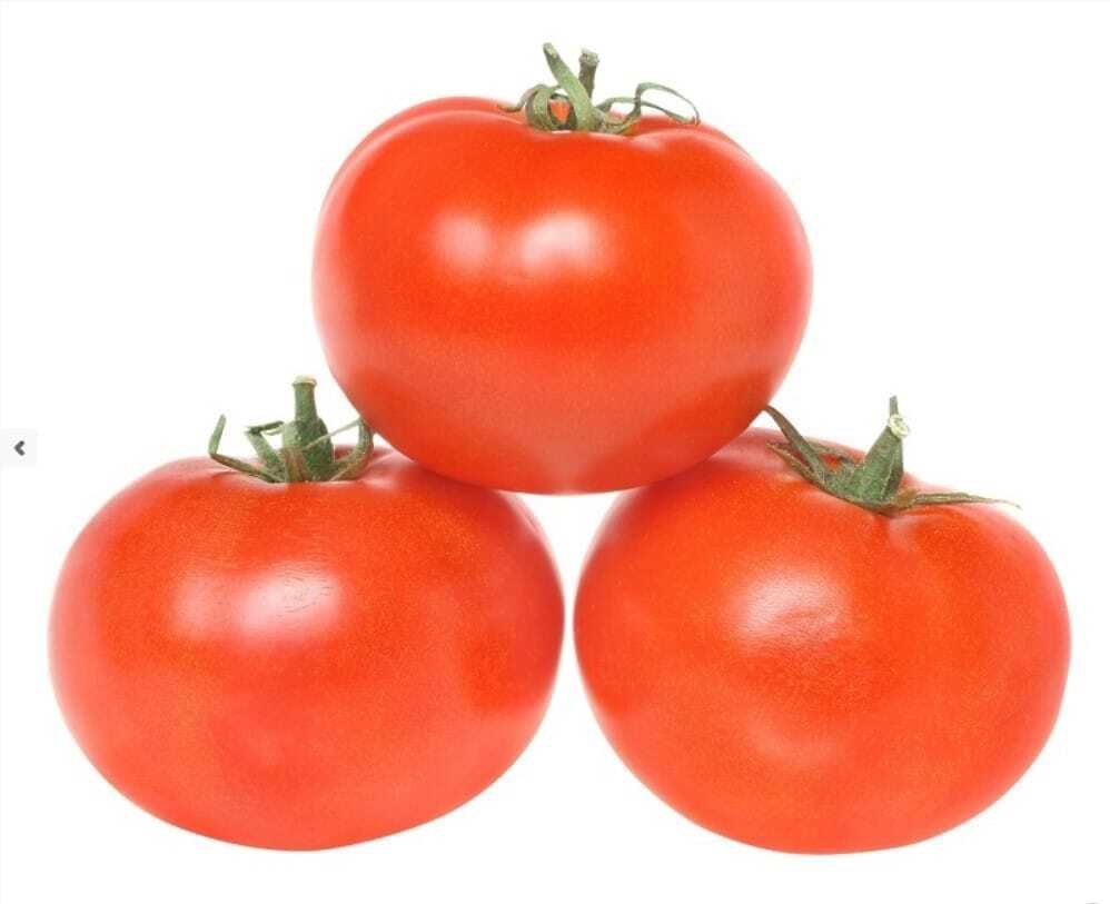 Semillas de Tomate Cal-Ace 500 Grs