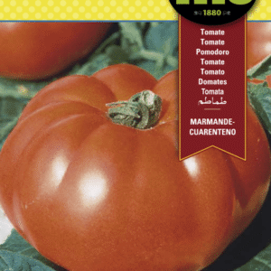 Semillas Fitó de Tomate Marmande Cuarenteno