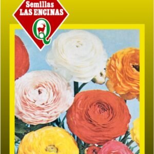 Semillas de Ranunculus