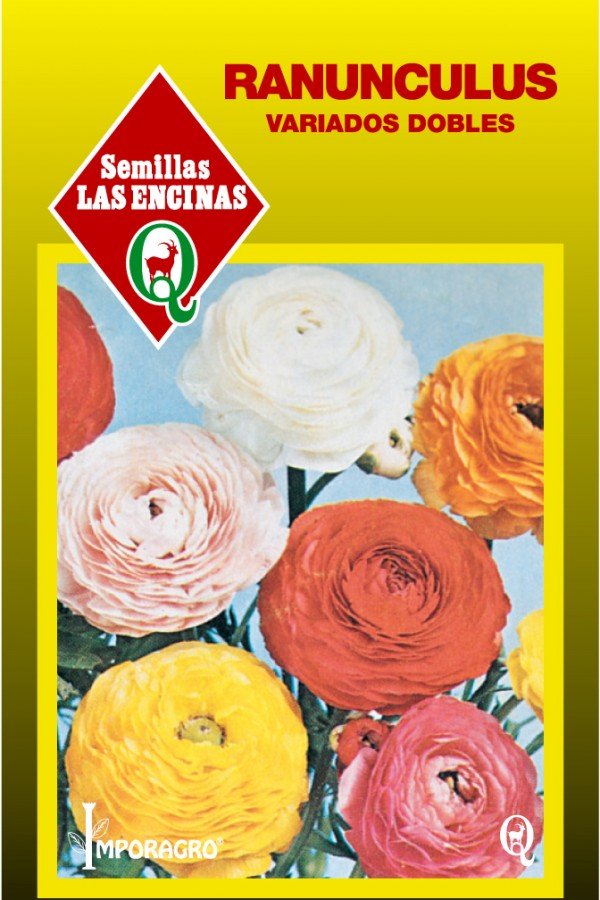 Semillas de Ranunculus