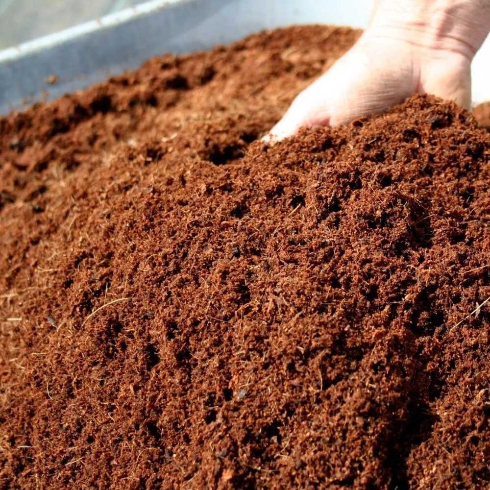 Fibra De Coco Bolsa De 10 Lts