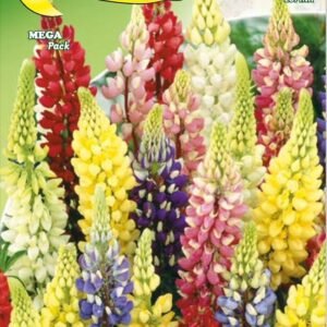 Semillas De Lupino Perenne Mix