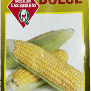 Semillas de Maíz Dulce