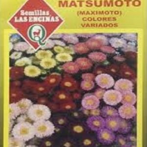 Semillas de Reina Luisa Matsumoto