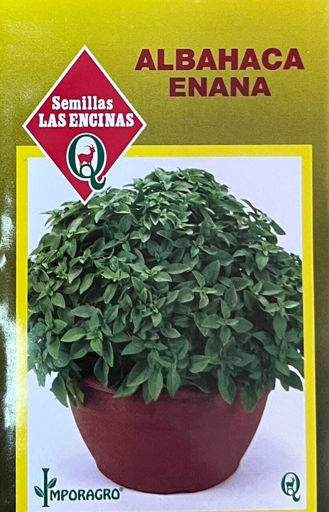 Semillas de Albahaca Enana