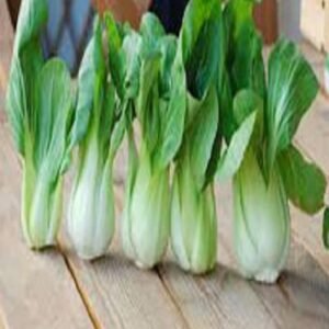 Semillas de Pack-Choi Verde Baby 100 Grs
