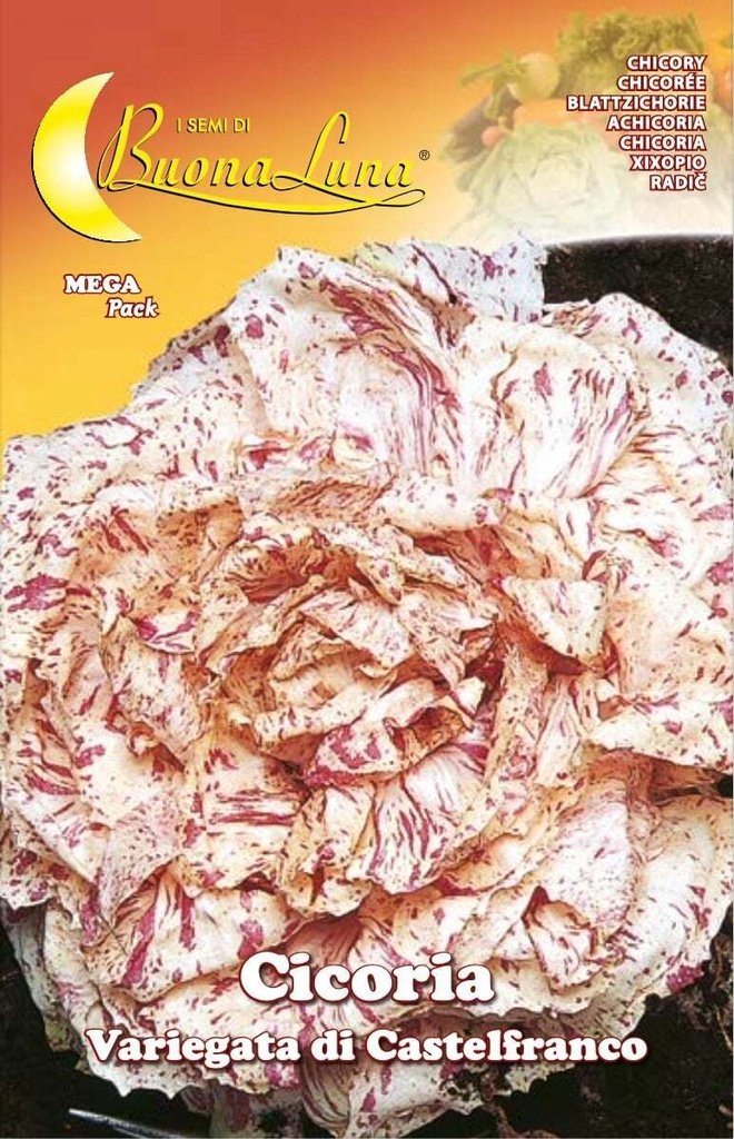 Semillas De Achicoria Variegada De Castelfranco